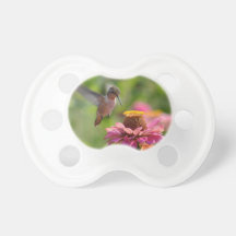 Hummingbird med Zinnias
