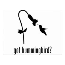 Hummingbird Vykort