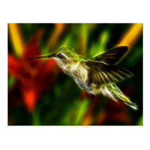 Hummingbird Vykort