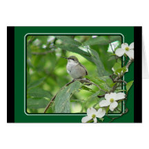 Hummingbirdhälsningkort