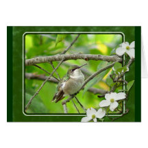 Hummingbirdhälsningkort 2