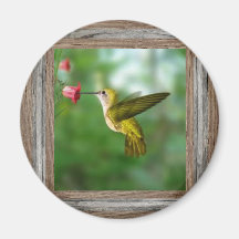 hummingbirdkylskåpmagnet kylskåpsnagnet