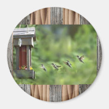 hummingbirdkylskåpmagnet magnet för kylskåp