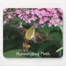 Hummingbirdmalmousepad Mus Mattor