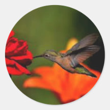 hummingbirdredrseklistermärke