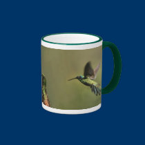 Hummingbirds muggar