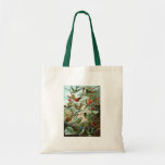 Hummingbirds Tygkasse