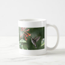 Hummingbirdskatter Kaffe Kopp