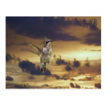 Hummingbirdsolnedgångvykortet fotograferar