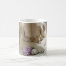 hund blommor kaffe mugg