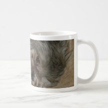 Hund för valp för Shih tzu gullig Kaffe Koppar