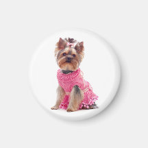 Hund för valp för Yorkshire Terrier i en rosa klän Kylskåps Magneter