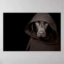 Hund- Hoody Affisch