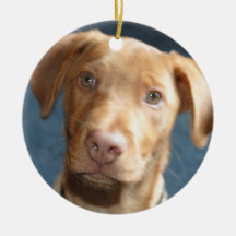 Hund Julgranskulor