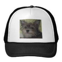Hund Mesh Kepsar