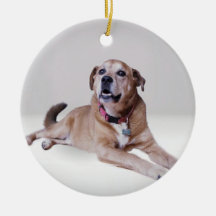 Hund på en prydnad julgranskula