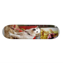 Hund på karnevalet skate board