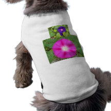 Hund tröja