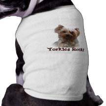 Hund tröja för Yorkshire Terrier