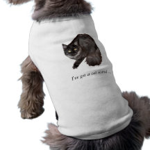 Hund tröjaI've har en skrämmd katt ",