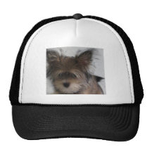 Hund Trucker Keps