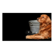 Hundbad Visitkort