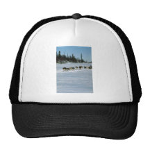 Hundtävla, Yukon Baseball Hat