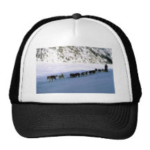 Hundtävla, Yukon Kepsar