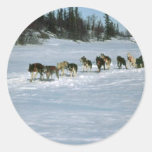 Hundtävla, Yukon Klistermärke