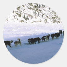 Hundtävla, Yukon Klistermärken