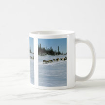 Hundtävla, Yukon Mugg