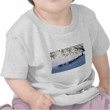 Hundtävla, Yukon Tee Shirts