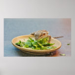 Hungrig skäggig drake posters