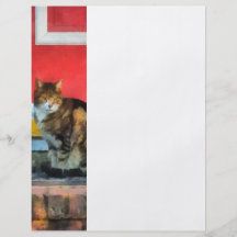Husdjur - tabby katt vid den röda dörren flyg blad