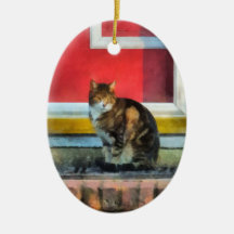 Husdjur - tabby katt vid den röda dörren jul dekorationer