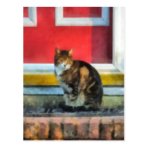 Husdjur - tabby katt vid den röda dörren vykort