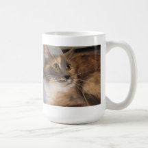 Husdjurexklusivfotografi Kaffe Muggar