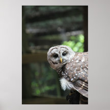 Husdjurexklusivfotografi Print