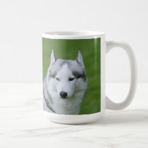 Husky mugg