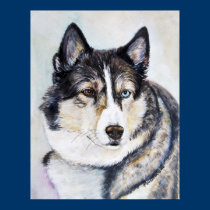 husky ögon affischer