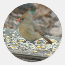 Huvudsaklig (Cardinalis cardinalis) kvinnlig Songb Klistermärken