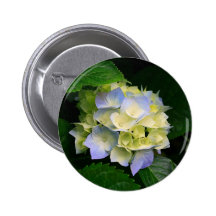 Hydrangeas.jpg Nål