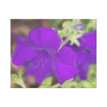 I min trädgårds- präglade purpurfärgade rosa blomm canvasdukar med gallerikvalitet