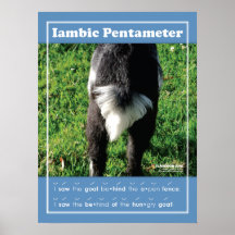 IambicPentameter 18" x 24" klassrumaffisch