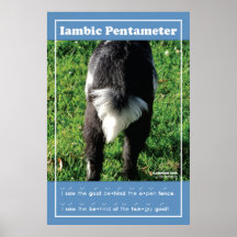 IambicPentameter 24" x 36" klassrumaffisch