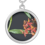 Ibaguense (Epidendrum) blommor Hängsmycken