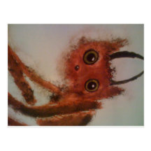 Idiotmonster Vykort