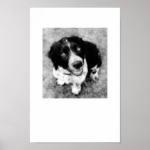 Ike leendetryck print