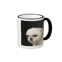 Ilsken vit Shih Tzu med bruna ögon Kaffe Mugg