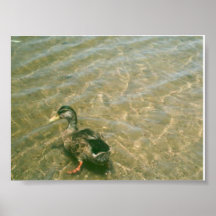 IMAG0173 AFFISCH